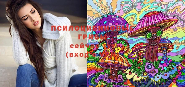 твердый Новокубанск