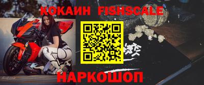 мет Кингисепп
