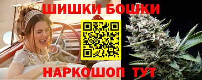 мет Кингисепп
