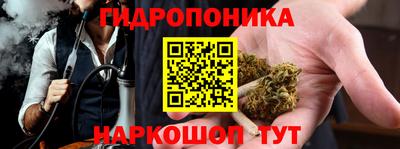 мет Кингисепп