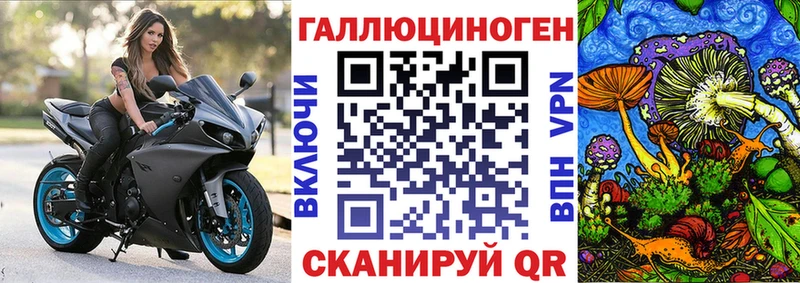 хочу Черемхово Псилоцибиновые грибы Magic Shrooms