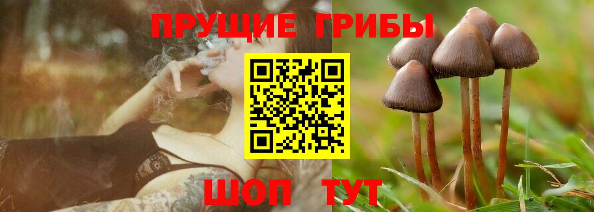 Галлюциногенные грибы Magic Shrooms Черемхово